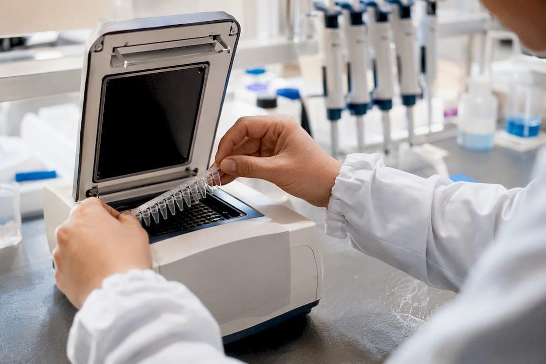 What Is PCR? A Plain-Language Guide to DNA Amplification