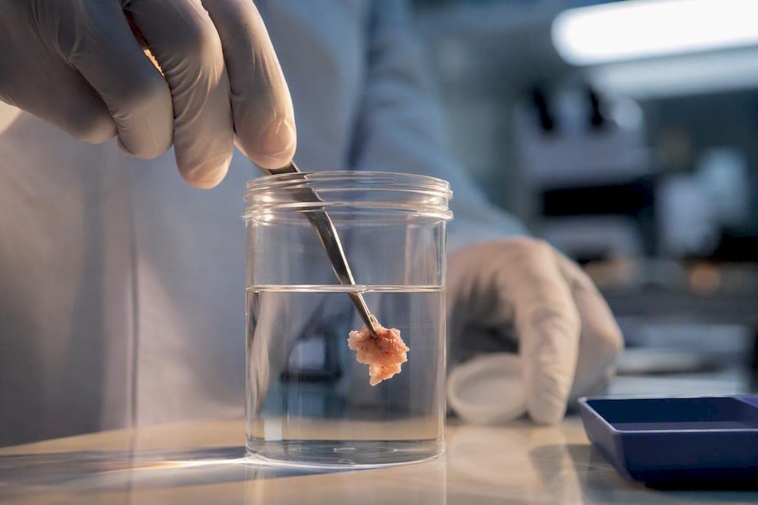 Prevent Overprocessing and Recuts: Biopsy Processing Steps for Labs